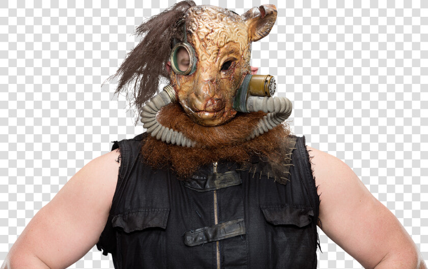 Transparent Erick Rowan Png  Png DownloadTransparent PNG