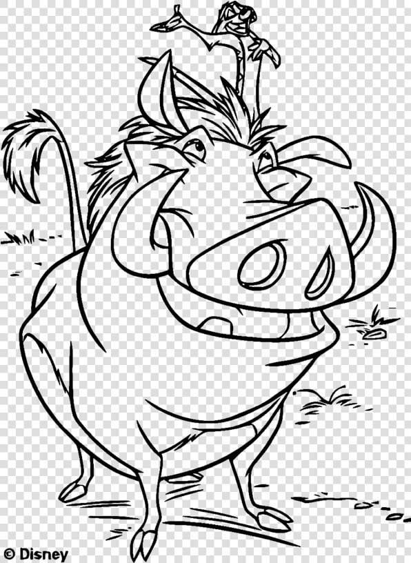 Timon And Pumba  HD Png DownloadTransparent PNG