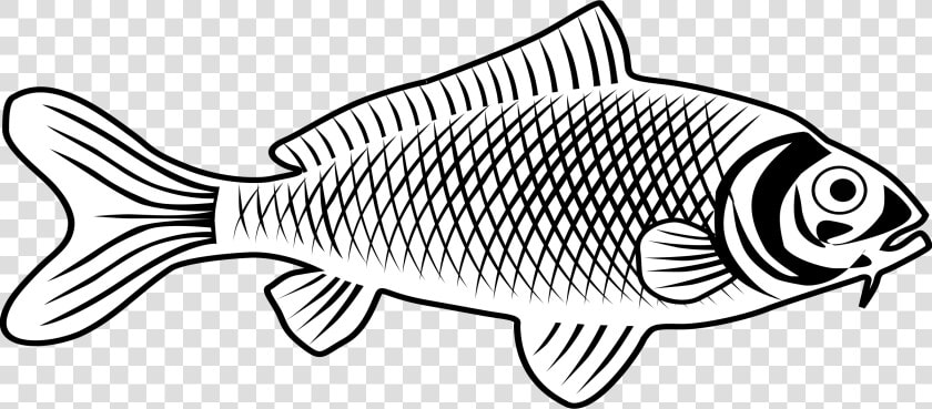 Sunfish Drawing Fishline   Fish Images Line Art  HD Png DownloadTransparent PNG