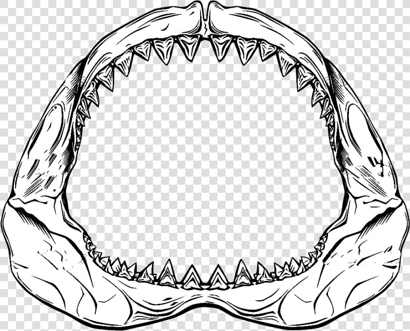 Shark Jaws Png Transparent Shark Jaws Images   Great White Shark Jaw Drawing  Png DownloadTransparent PNG
