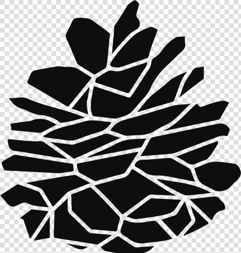 Clip Art Pinecone Cookies   Illustration  HD Png DownloadTransparent PNG