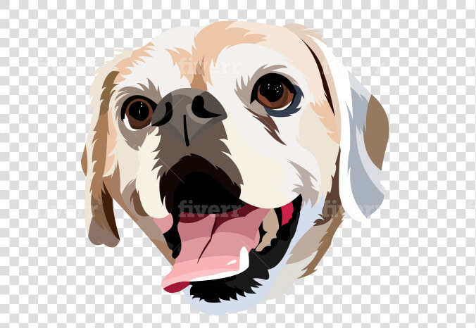 Dog Yawns  HD Png DownloadTransparent PNG
