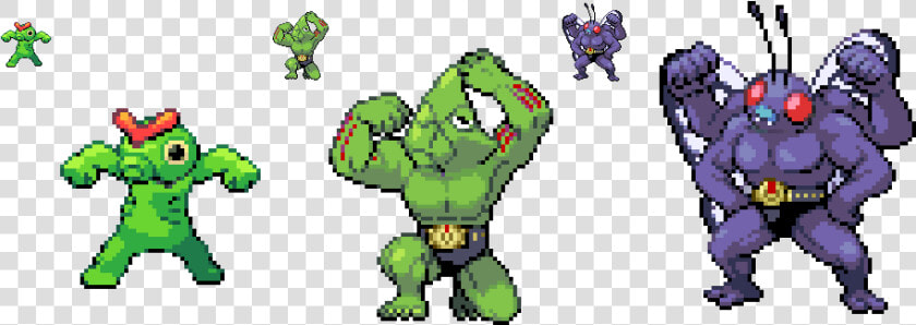 Putting Any Head On Machoke Or Machamps Body Will Produce   Machop Machoke Machamp  HD Png DownloadTransparent PNG