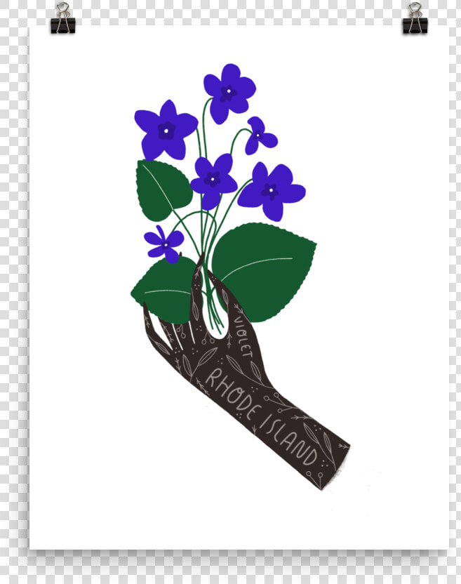 State Flower Of Illinois  HD Png DownloadTransparent PNG