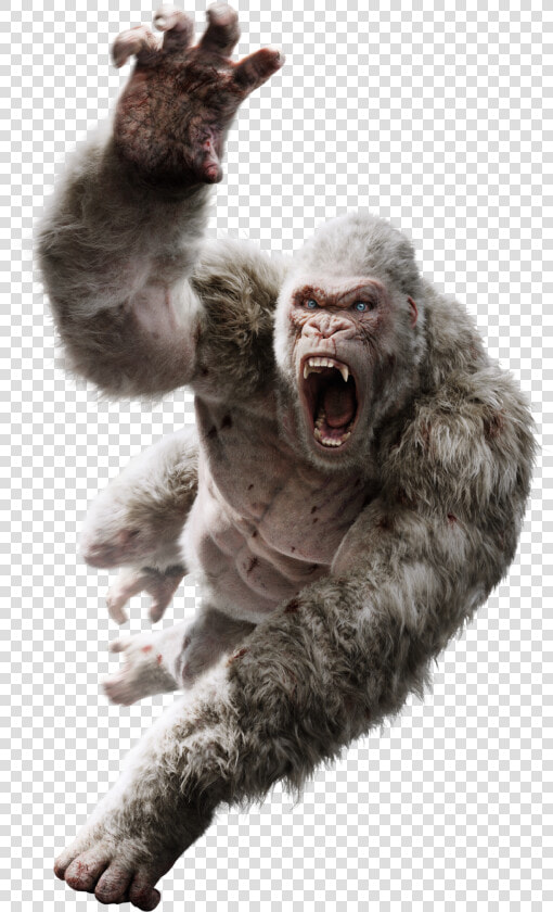 Drawing Godzilla Foot   Rampage George Vs King Kong  HD Png DownloadTransparent PNG