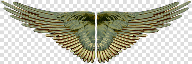 Gilded Wings Png  Transparent PngTransparent PNG