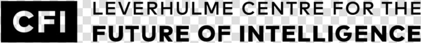 Leverhulme Centre For Future Of Intelligence   Michelle Cottle  HD Png DownloadTransparent PNG