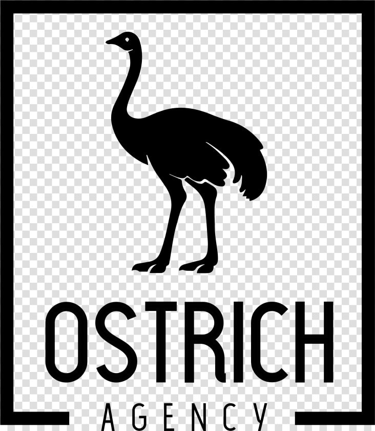 Ostrich Agency   Flightless Bird  HD Png DownloadTransparent PNG