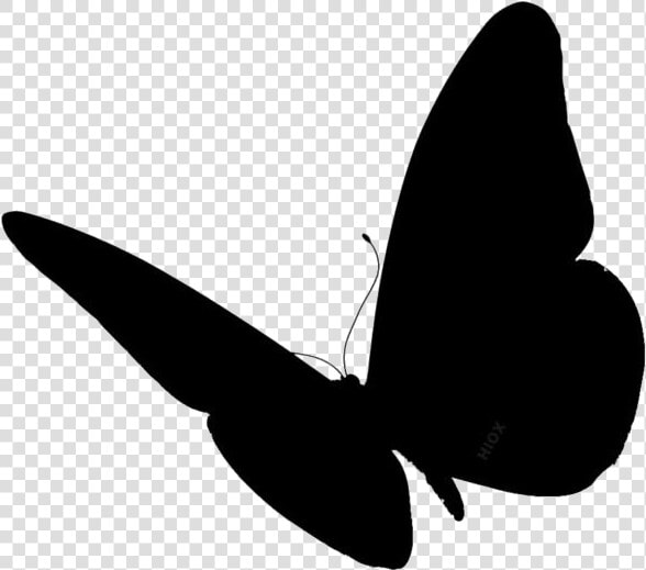 Butterfly Wings Png Image With Transparent Background   Butterfly Silhouette Side View  Png DownloadTransparent PNG
