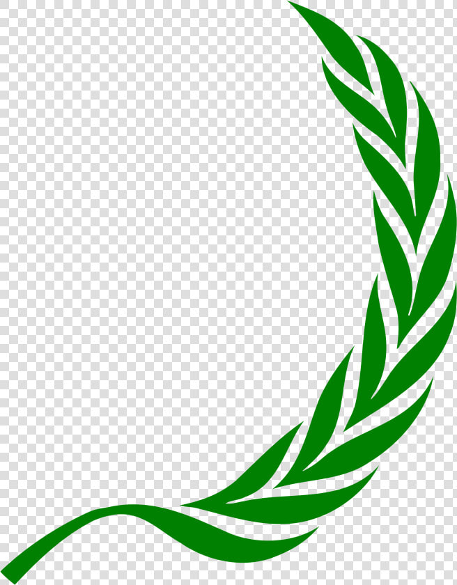 Human Right Council Logo  HD Png DownloadTransparent PNG