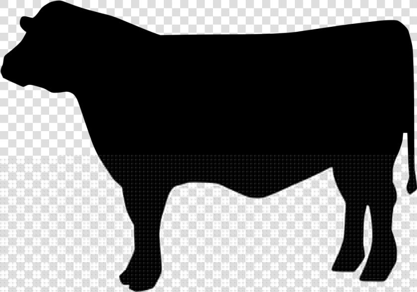 Beef Cattle Svg Clipart   Png Download   Beef Cow Svg File  Transparent PngTransparent PNG