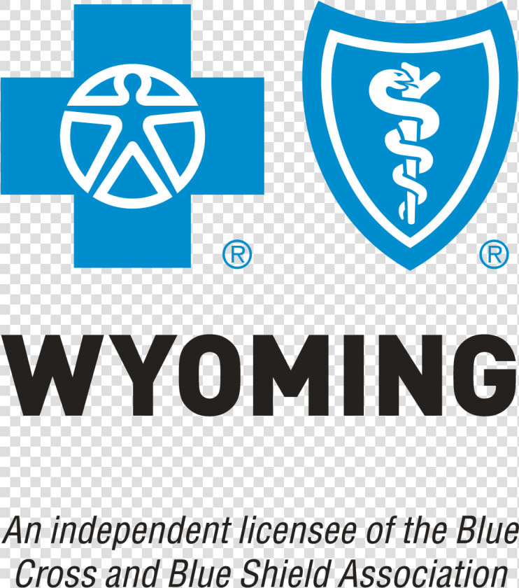 Blue Cross Blue Shield Logo Png  Transparent PngTransparent PNG