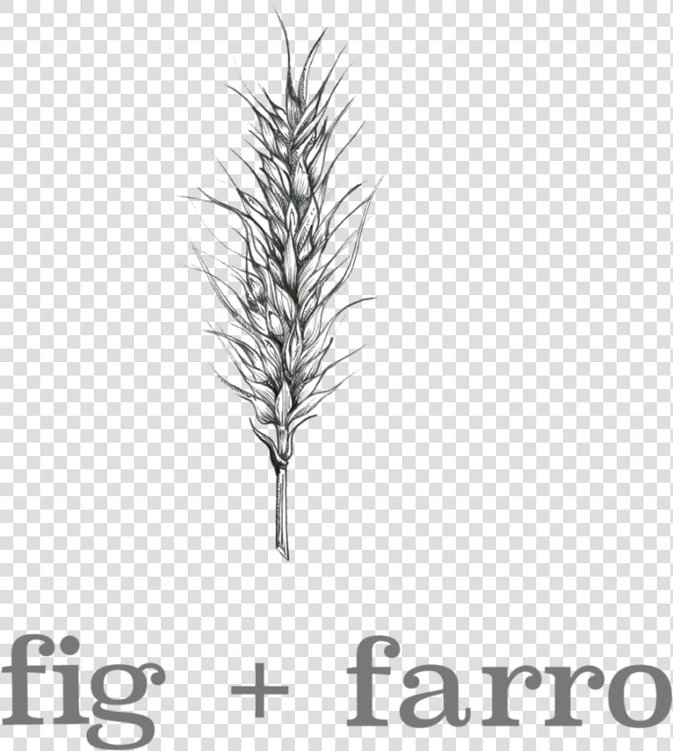 Transparent Etch A Sketch Clipart   Sketch  HD Png DownloadTransparent PNG