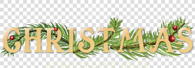 Christmasatrh Web Header Web Header   Illustration  HD Png DownloadTransparent PNG
