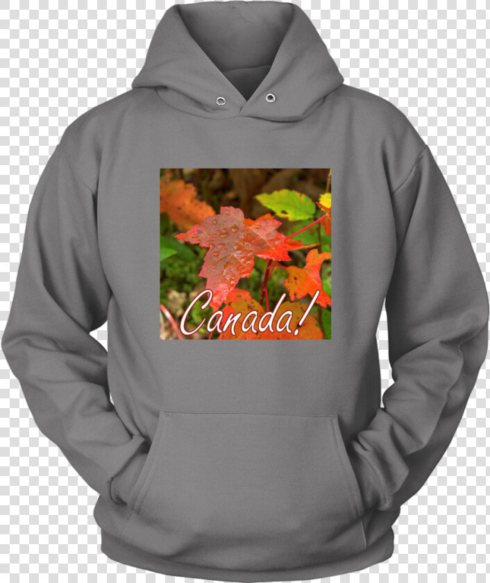 Bernese Mountain Dog Hoodies  HD Png DownloadTransparent PNG