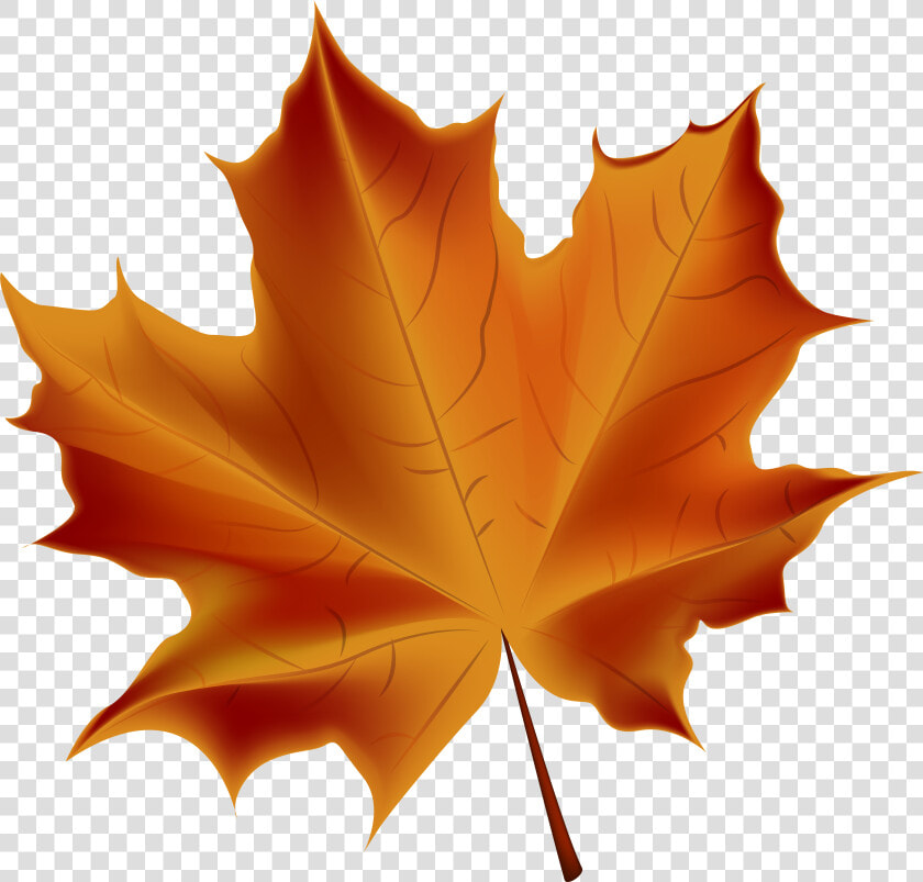 Leaves Clipart Autum Leaves  HD Png DownloadTransparent PNG
