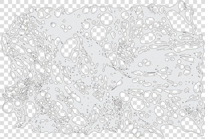 Doily  HD Png DownloadTransparent PNG