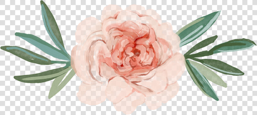Clip Art Chrysanthemum Watercolor   Chrysanthemum Watercolour  HD Png DownloadTransparent PNG
