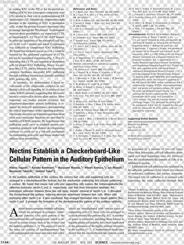 Document  HD Png DownloadTransparent PNG