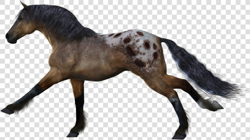Download For Free Horse Transparent Png Image   Horse Running No Background  Png DownloadTransparent PNG