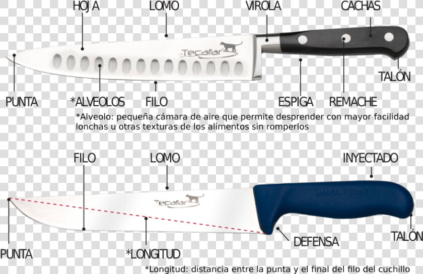 Partes De Un Cuchillo   Bowie Knife  HD Png DownloadTransparent PNG