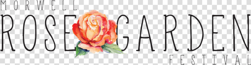 Garden Roses Clipart   Png Download   Hybrid Tea Rose  Transparent PngTransparent PNG