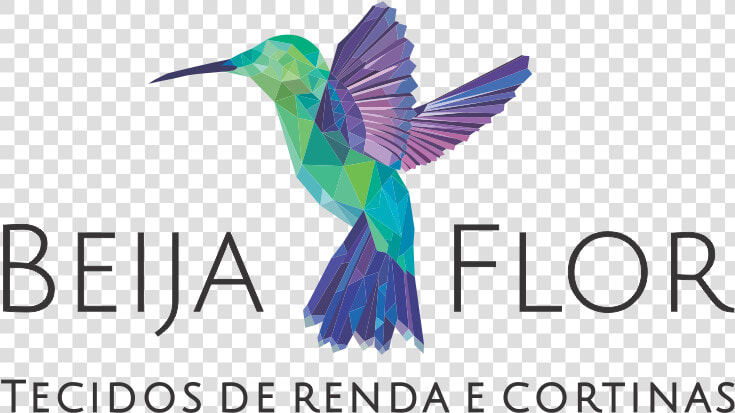 Beija Flor   Hummingbird  HD Png DownloadTransparent PNG