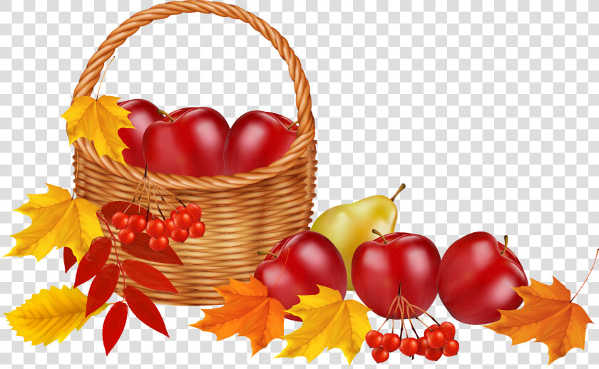 28 Collection Of Transparent Fall Clipart   Transparent Background Fall Clipart  HD Png DownloadTransparent PNG