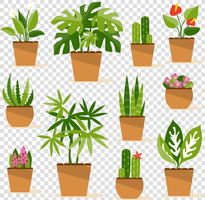 Indoor Potted Plant Png   Potted Plant Clip Art  Transparent PngTransparent PNG
