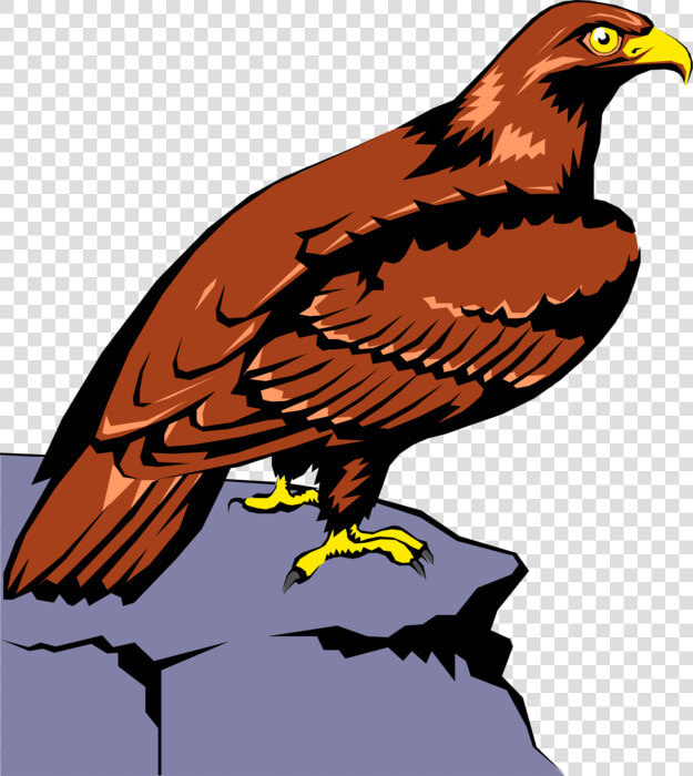 Vector Illustration Of Bird Of Prey Raptor Eagle Perched   Aquila Clipart  HD Png DownloadTransparent PNG