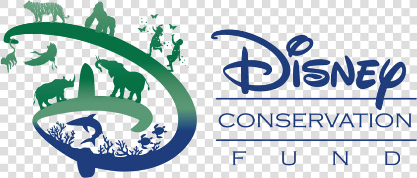 Disney Conservation Fund  HD Png DownloadTransparent PNG