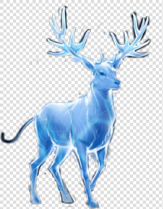 patronus  harrypotter ❤️   Harry Potter Patronus Png  Transparent PngTransparent PNG
