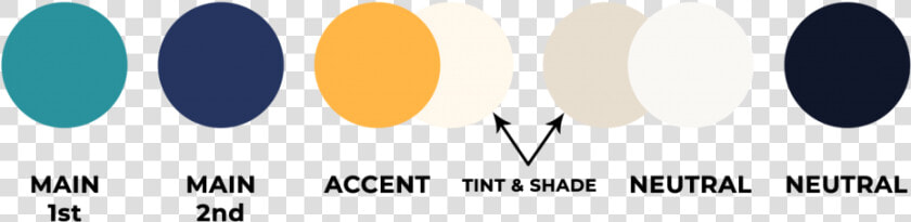 Accent Color In Logo  HD Png DownloadTransparent PNG