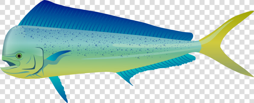 Bonyfish fish fin   Sailfish  HD Png DownloadTransparent PNG