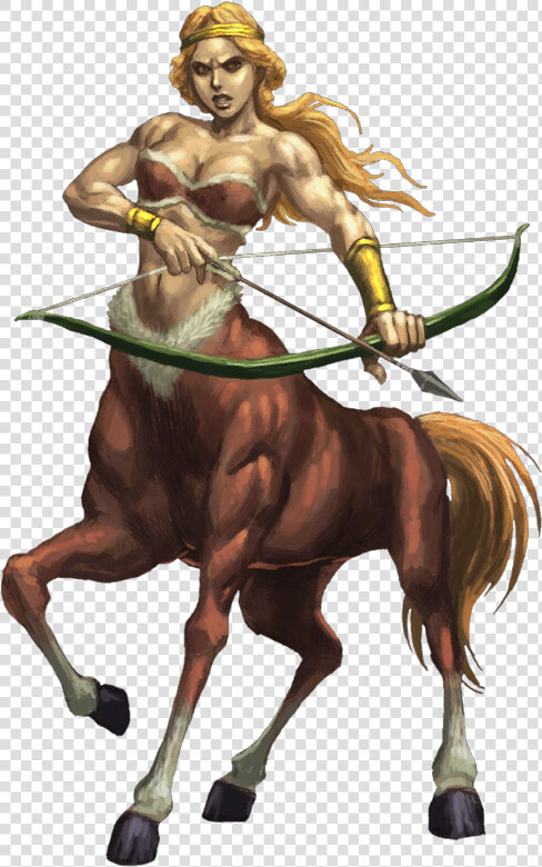 Woman Half Human Half Horse  HD Png DownloadTransparent PNG