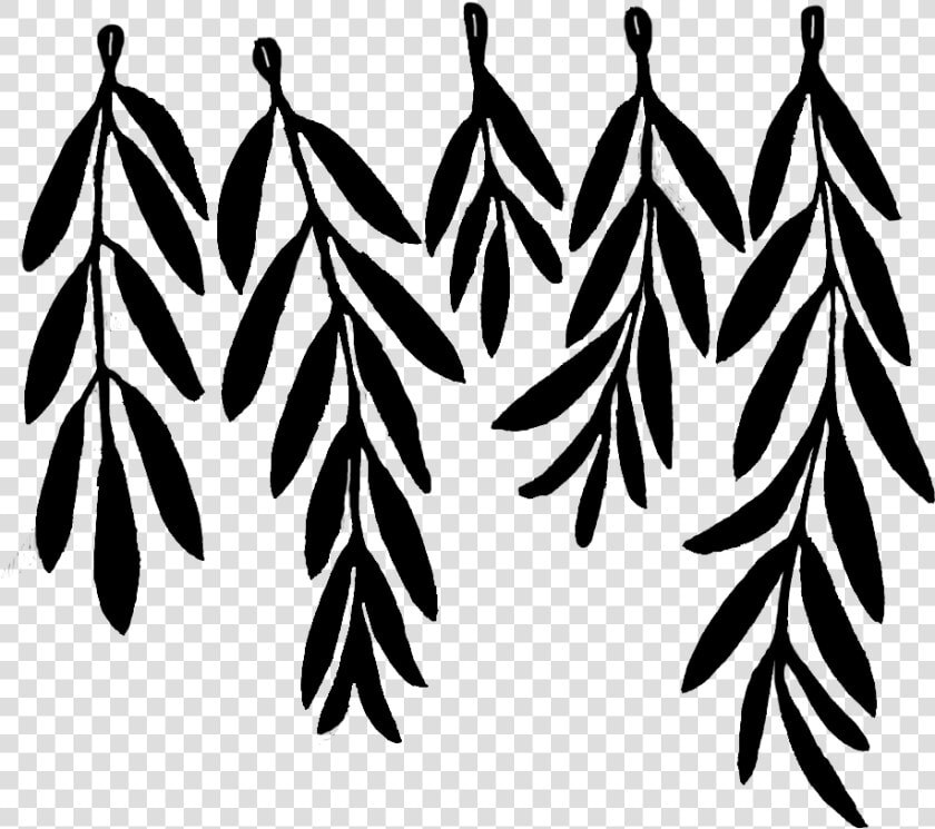 Olive Leaf Drawing   Png Download Clipart   Png Download   Template Olive Branch Invitation  Transparent PngTransparent PNG