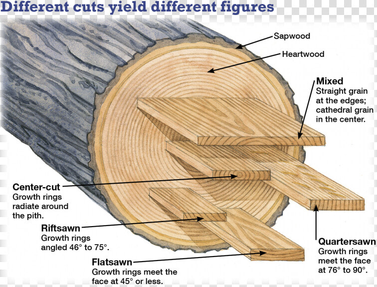 Wooden Log Png Straight On   Wood Grain Cathedral  Transparent PngTransparent PNG
