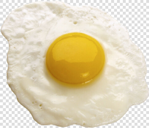 Egg Png Free Download   Perfect Fried Egg  Transparent PngTransparent PNG