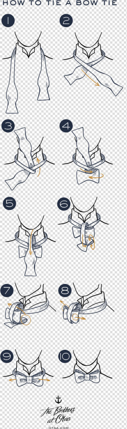 How To Tie A Bow Tie   Cartoon  HD Png DownloadTransparent PNG