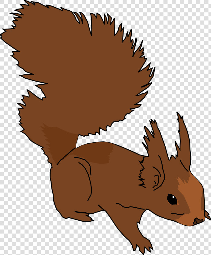Medium Image Png   Squirrel Clip Art  Transparent PngTransparent PNG