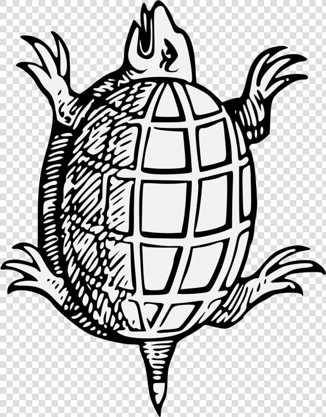 Transparent Tortoise Clipart Black And White   Turtle Png Heraldic  Png DownloadTransparent PNG