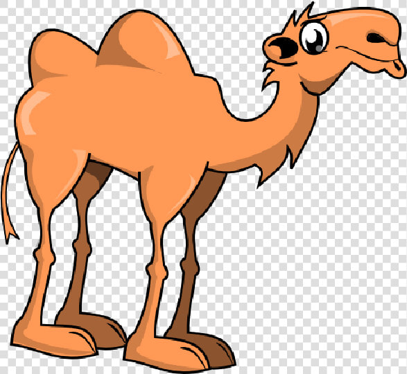 Cute Camel Clipart Funny Pictures   Camel Clipart  HD Png DownloadTransparent PNG