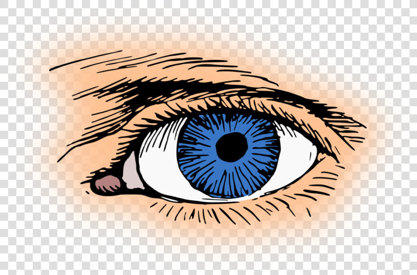 Iris close Up eye   Clip Art Eyes Blue  HD Png DownloadTransparent PNG