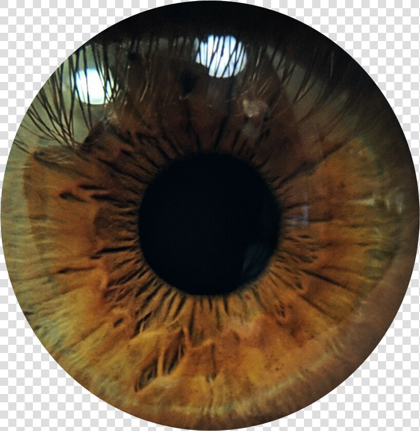  sticker  freetoedit  eye  ojo  picsart  vakson   Circle  HD Png DownloadTransparent PNG
