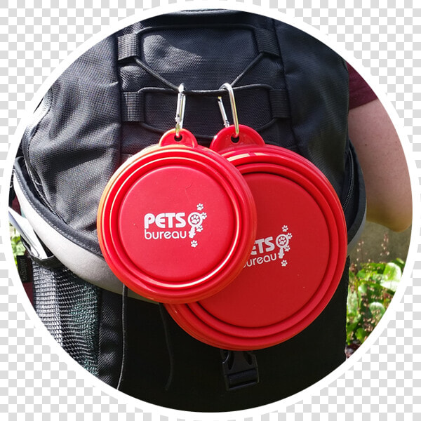 Handbag  HD Png DownloadTransparent PNG
