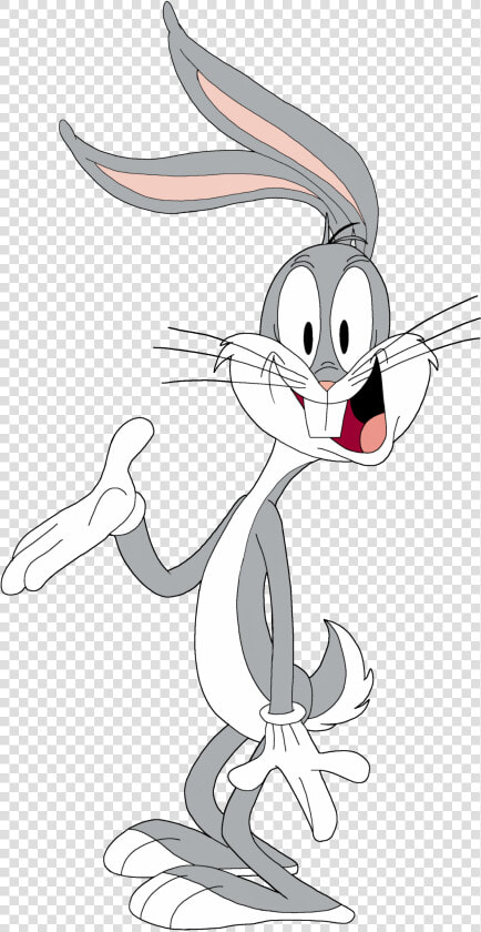 Bugs Bunny Elmer Fudd Cartoon Drawing Looney Tunes   Wile E Coyote Funny  HD Png DownloadTransparent PNG