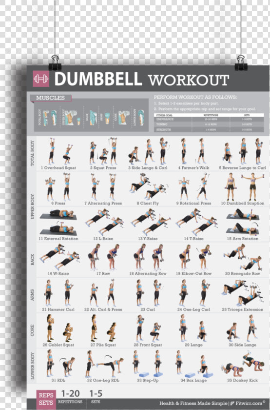 Dumbbell Exercises Muscle Groups  HD Png DownloadTransparent PNG