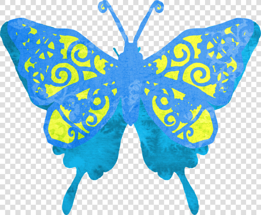 Butterfly  Clipart  Blue  Green  Cute  Flying  Wings   Butterfly Designs Transparent Background  HD Png DownloadTransparent PNG