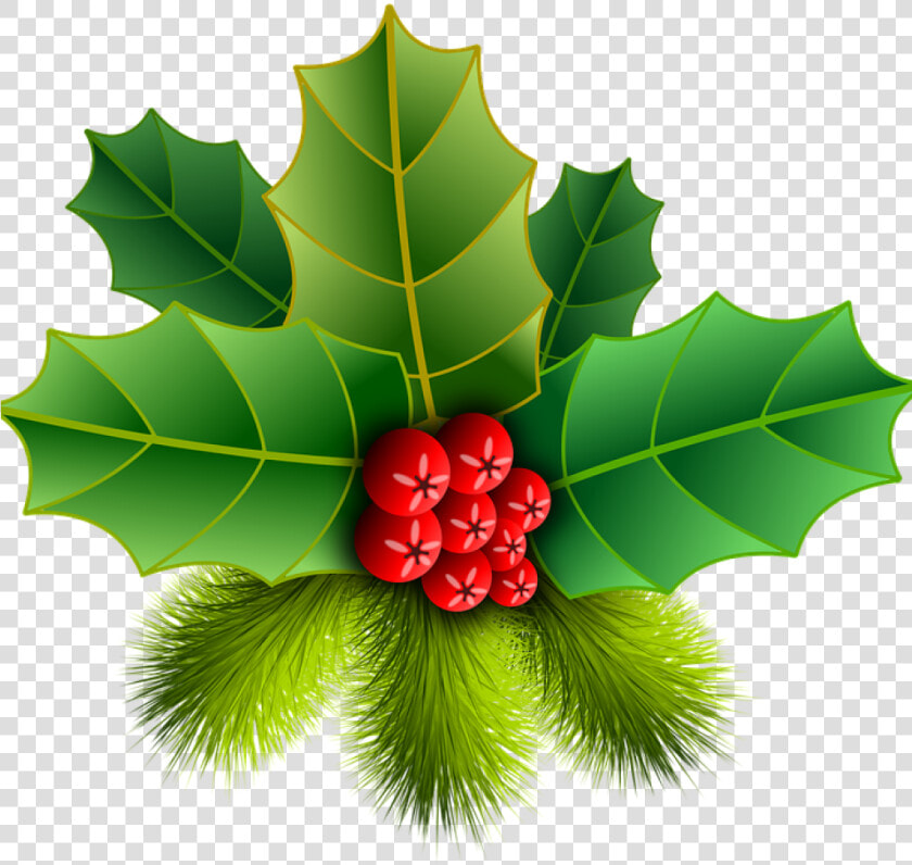 Christmas Holly Picture Christmas Holly Pinheiro Free   ต้น ฮ อ ล ลี่ วัน คริสต์มาส  HD Png DownloadTransparent PNG