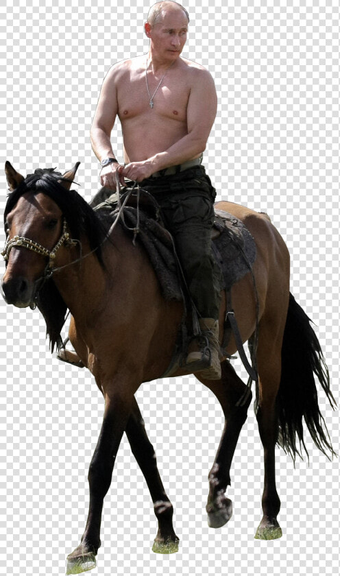 Transparent Putin Riding Png   Putin On Horse No Background  Png DownloadTransparent PNG